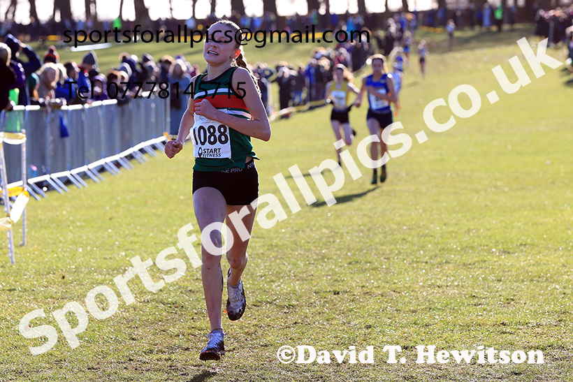 Girls under-15s 2025 Northern Cross Country Champs, Tatton Park, Knutsford, Cheshire. Photo: David T. Hewitson/Sports for All Pics